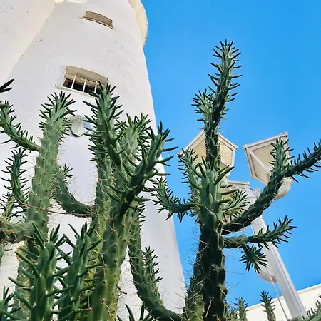Sa Torre Séjour chez l'habitant Ibiza