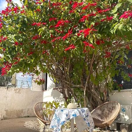 Sa Torre Séjour chez l'habitant Ibiza